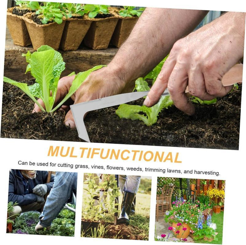 Garden Equipment and Decoration