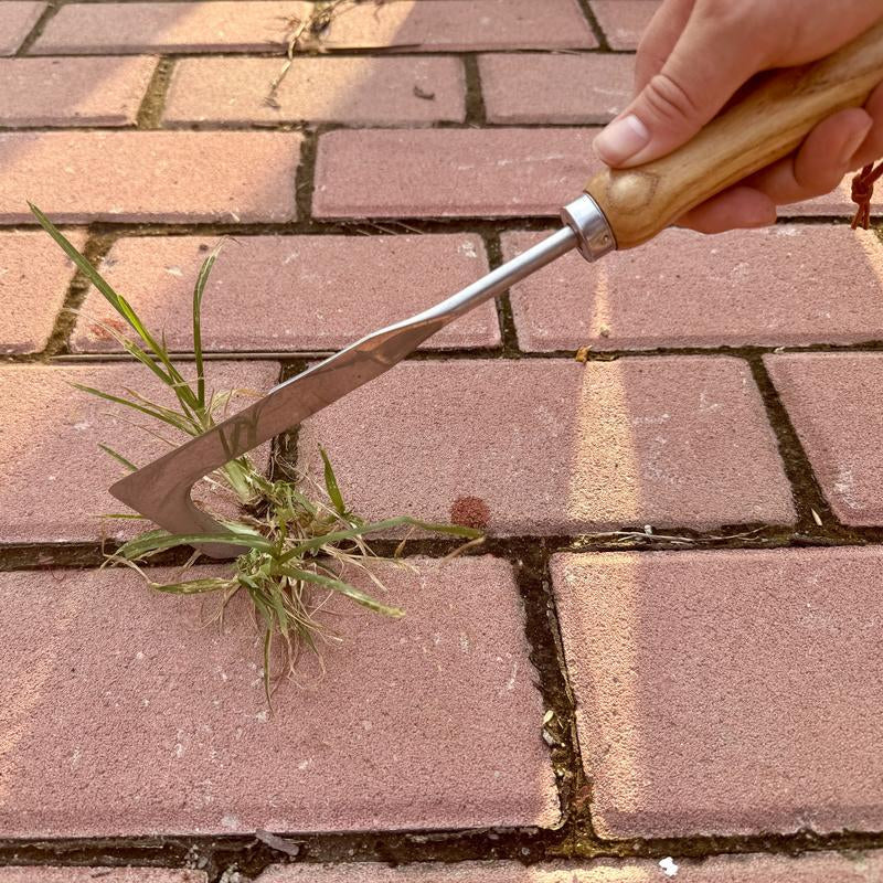 Stainless Steel Crack Weeder Tool - 12" Manual Weed Puller with Beech Wood Handle for Sidewalks, Driveways & Pavers - Garden Gap Cleaner for Narrow Crevices