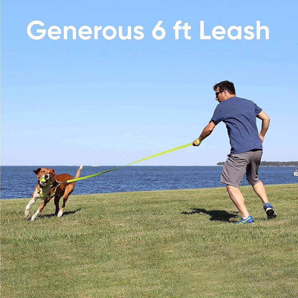 6 FT Solid Color Leash for Puppy - Comfortable Handle Dog Training Leash - 6 Ft - Extra Small/Small - Green