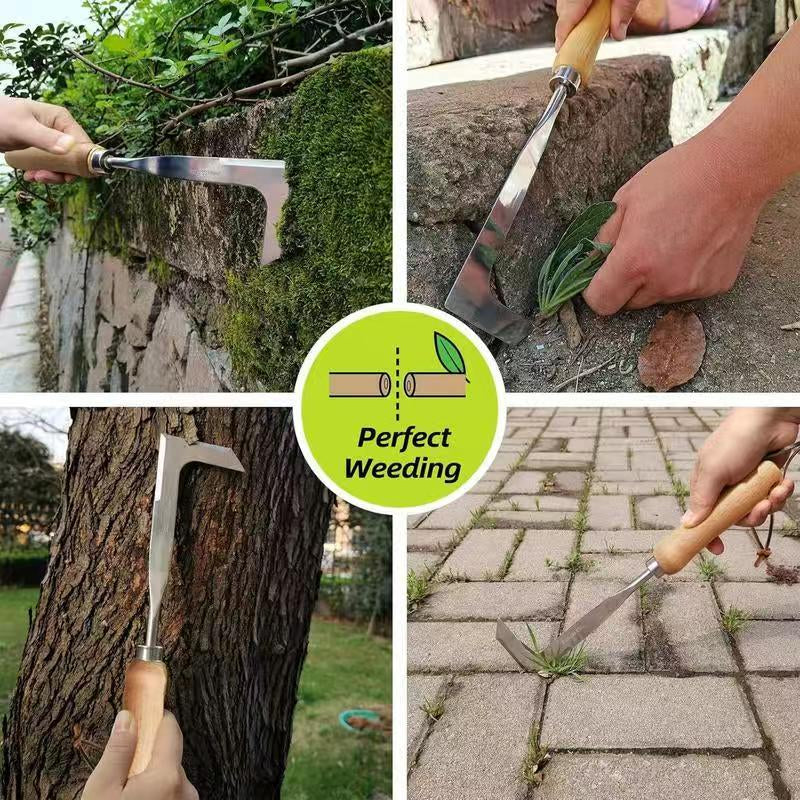 Stainless Steel Crack Weeder Tool - 12" Manual Weed Puller with Beech Wood Handle for Sidewalks, Driveways & Pavers - Garden Gap Cleaner for Narrow Crevices